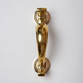 Brass Doctors Door Knocker - Brass Finish - Brass bee