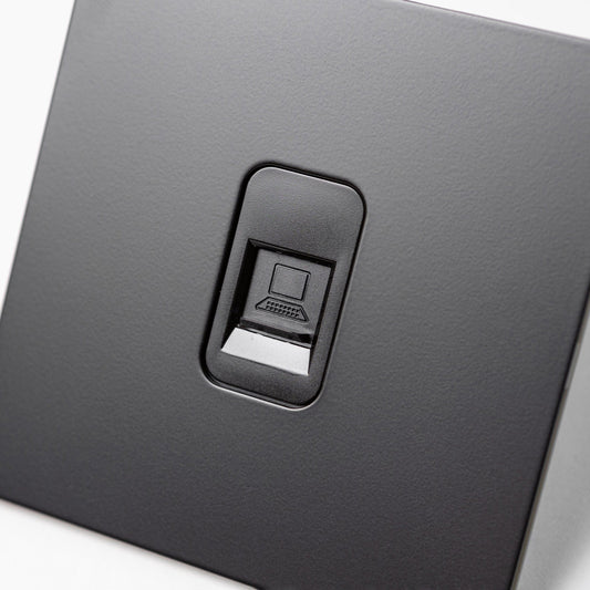 RJ45 Internet Outlet in Black – Brass Bee