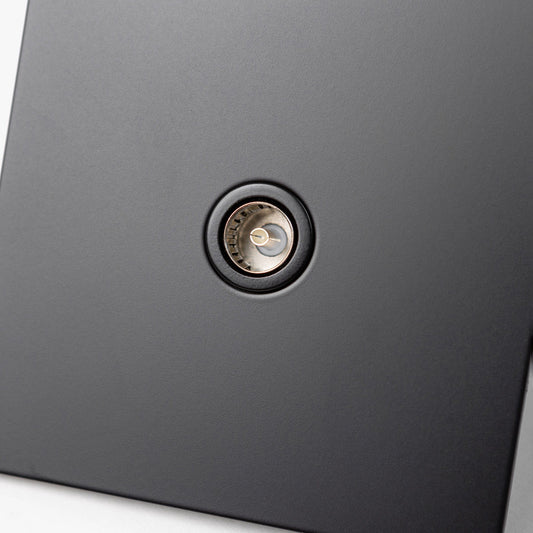TV Outlet in Black – Brass Bee