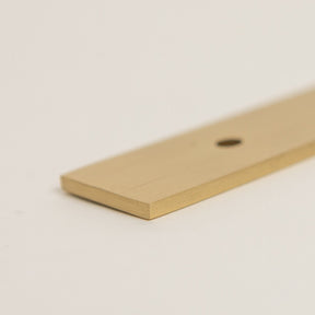 Brass Backplate - Satin Brass 128mm/160mm hole to hole handles - Brass bee