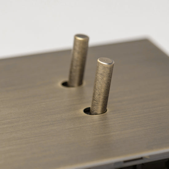 Antique Brass Switches and Sockets - J Series - Brass bee