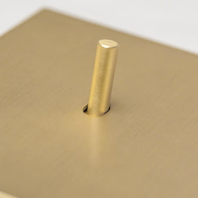 Satin Brass Switches and Sockets - J Series - Brass bee