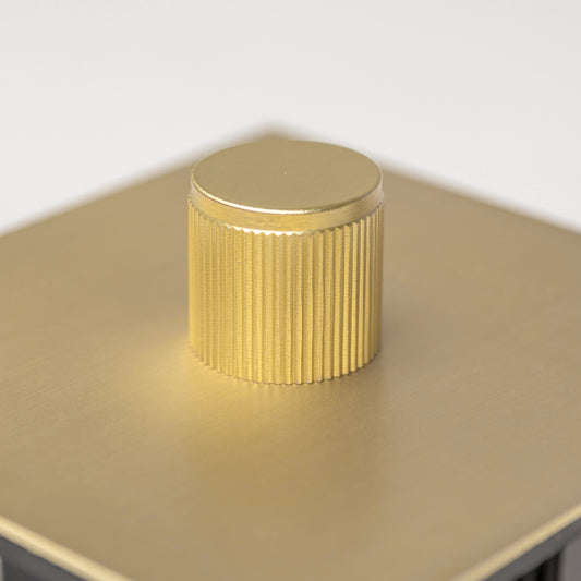J-Series 1 Gang 1 Way Dimmer Switch in Satin Brass – Brass Bee