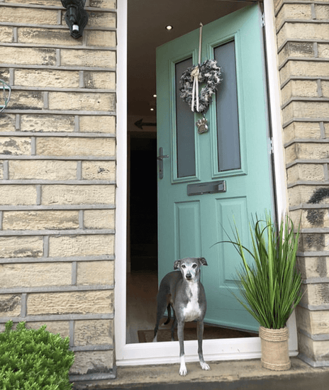 Brass Dog/Cat PAW Door Knocker - Nickel Finish - Brass bee