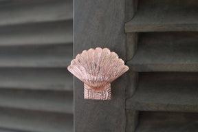 Brass Shell Drawer Cabinet Knob - Rose Gold Finish - Brass bee