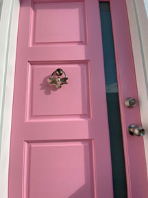 Brass Dragonfly Door Knocker with Ring - Nickel Finish - Brass bee