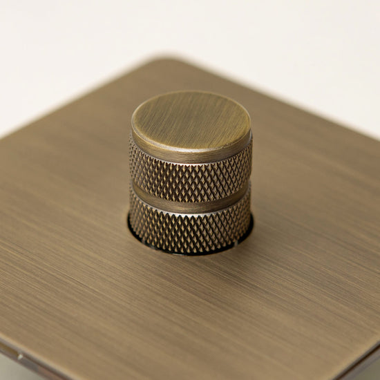 Foundry Series Knurled Toggle Switches and Sockets – Antique Brass - Brass bee
