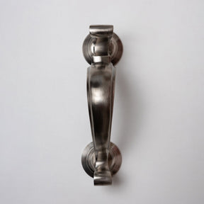 Brass Doctors Door Knocker - Pewter Finish - Brass bee