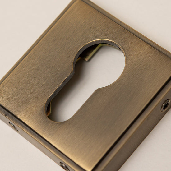 Antique Brass Straight Knurled Lever Handles - Solid Brass - Brass bee