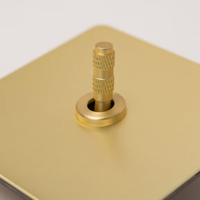 Foundry Series Knurled Toggle Switches and Sockets – Satin Brass - Brass bee