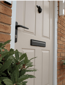 Brass Bee Door Knocker - Black Finish - Brass bee