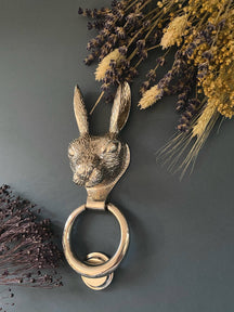 Brass Hare Door Knocker - Nickel Finish - Brass bee