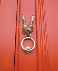 Brass Hare Door Knocker - Brass Finish - Brass bee