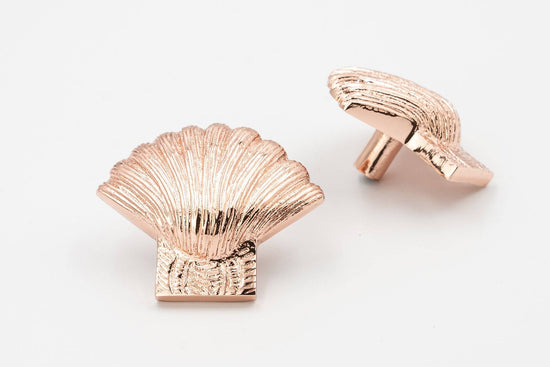 Brass Shell Drawer Cabinet Knob - Rose Gold Finish - Brass bee