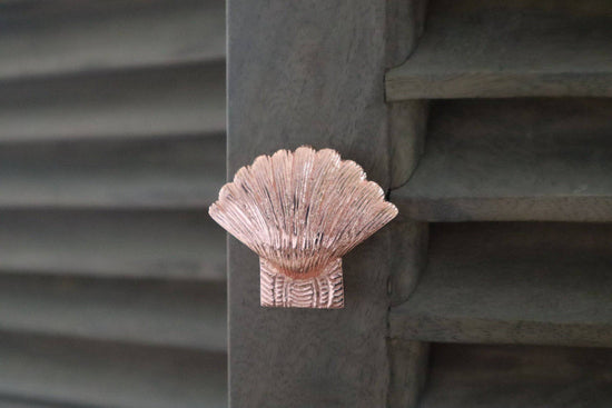 Brass Shell Drawer Cabinet Knob - Rose Gold Finish - Brass bee