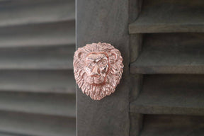 Brass Lion Drawer Cabinet Knob - Rose Gold Finish - Brass bee