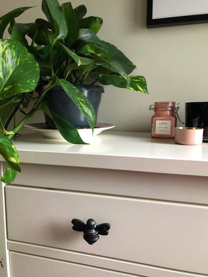 Brass Bee Drawer Cabinet Knob - Black Finish - Brass bee