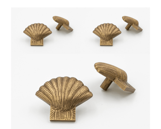 x6 Brass Shell Drawer Cabinet  Knobs - Nickel, Heritage, Bronze & Rose Gold Finishes - Brass bee