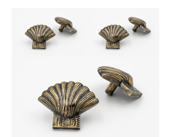 x6 Brass Shell Drawer Cabinet  Knobs - Nickel, Heritage, Bronze & Rose Gold Finishes - Brass bee