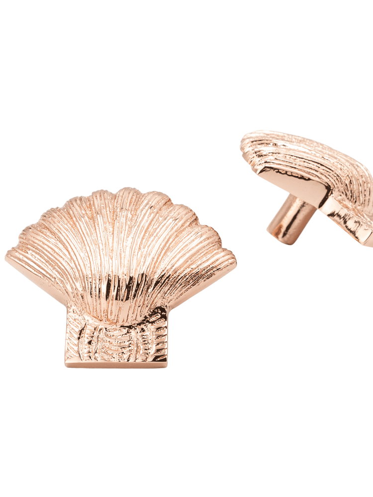 Brass Shell Drawer Cabinet Knob - Rose Gold Finish - Brass bee
