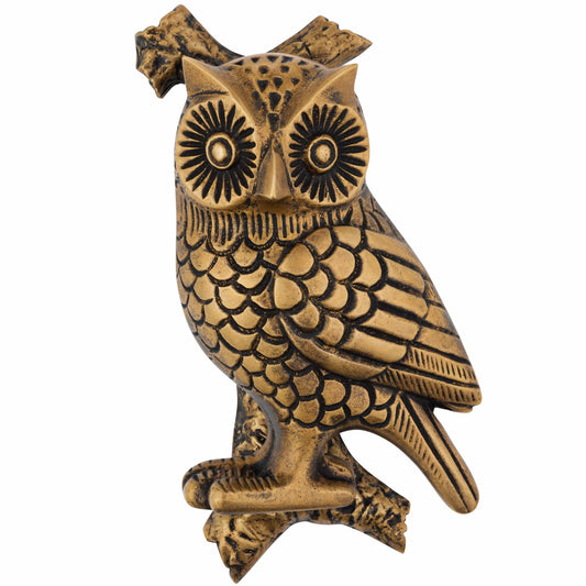 Brass Bee Owl Door Knocker - Heritage Finish - Brass bee