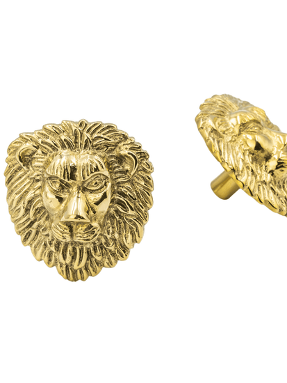 Brass Lion Drawer Cabinet Knob - Brass Finish - Brass bee